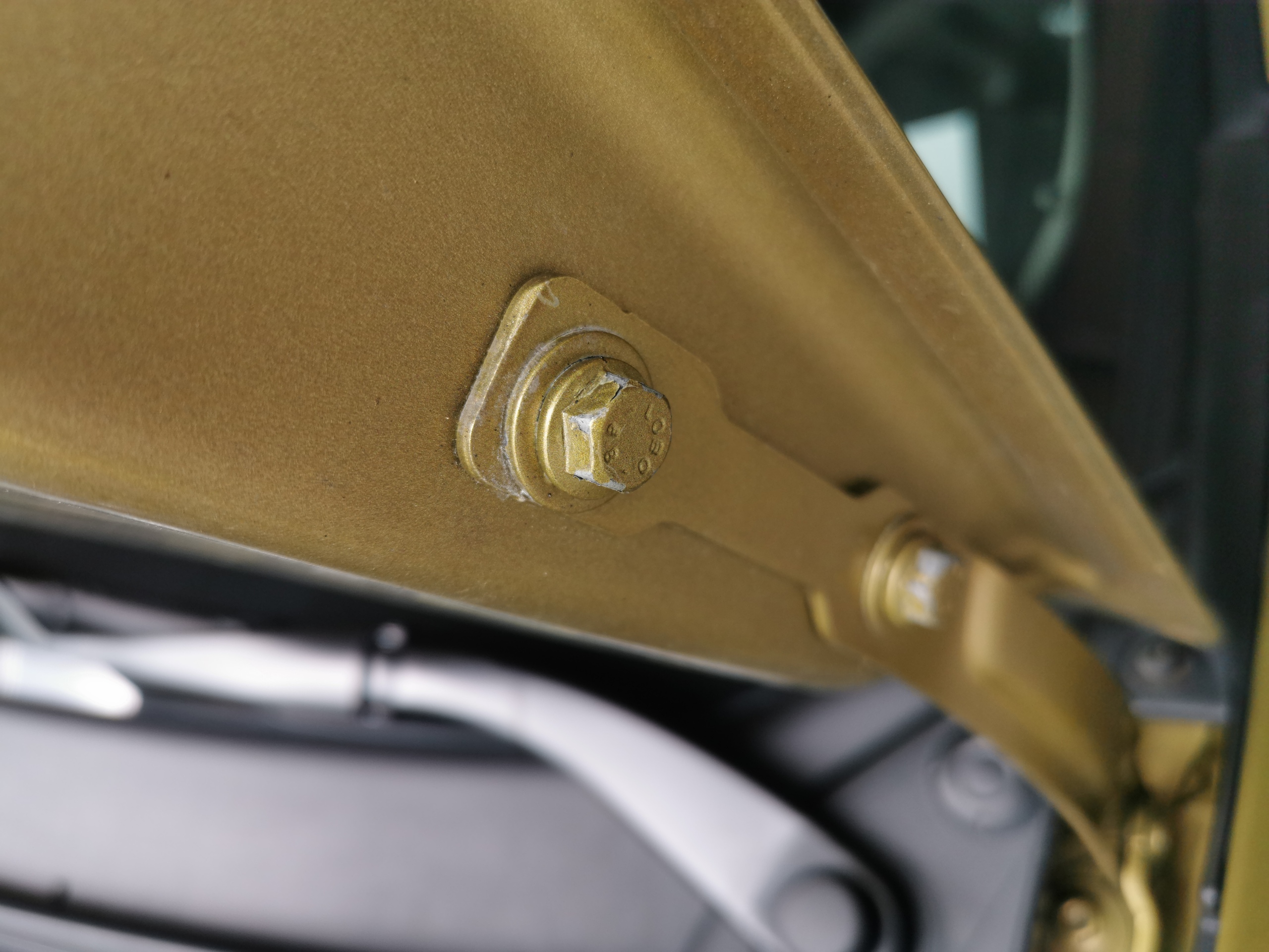 Renault Sandero после домашних животных.